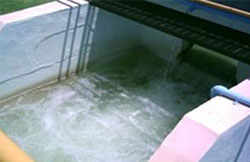 Desinfeccion en plantas de tratamiento de agua potable dosificacion con cloro